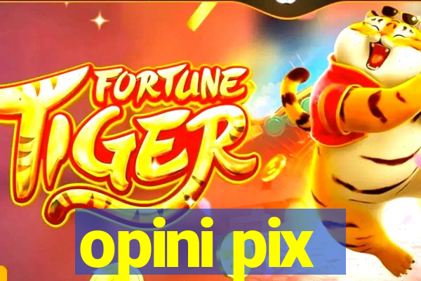 opini pix